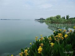 -漕湖湿地公园