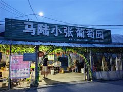 -马陆小张葡萄园农家乐