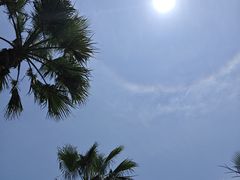 -椰风寨