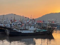 -沈家门渔港
