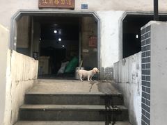 门面-泰顺江南春面馆