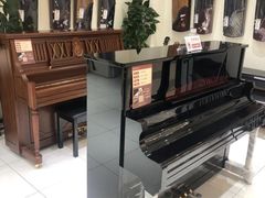 -谈·PIANO(金唐新光界店)