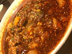 -北京老铺烤鸭(老城根店)