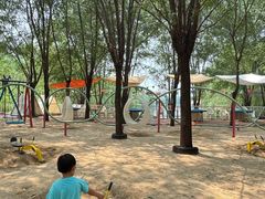 -西部长青自然儿童乐园