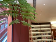 -二酉书店TOYOU BOOKS