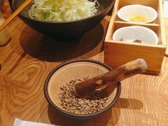 菜丝色拉-胜博殿霸王树(嘉里中心店)