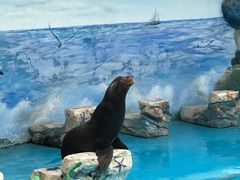 -上海野生动物园