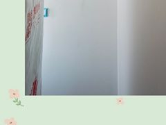 -立邦(汶水红星美凯龙专卖店)