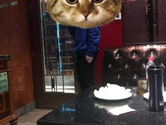 -乐圣量贩KTV自助餐(崇文店)