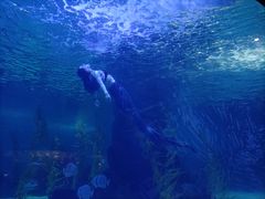-常州海昌海洋探索馆