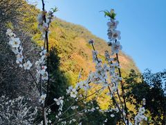 -广州市石门国家森林公园