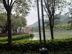 -顺峰山公园