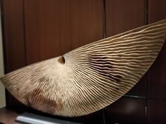 -碧桂园润杨溪谷温泉酒店