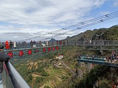 -梦幻奥陶纪景区