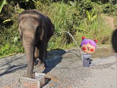 -野象谷景区