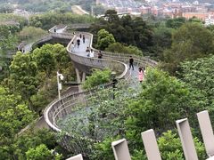 -福道