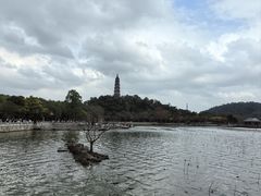 -顺峰山公园