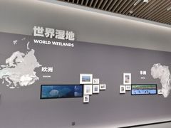 -中国湿地博物馆