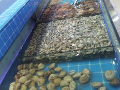 -集杰尚品海鲜烤肉自助餐厅(乳山振华店)