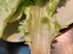 -梨花自助烤肉(西三旗万象汇黑金店)