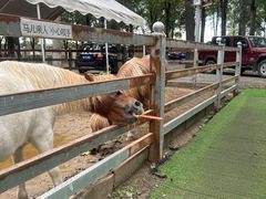 -金鼎实验幼儿园(和平里中街)