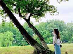 -西湖游船