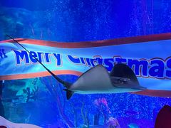 -沈阳海洋探索中心