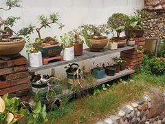 -茶米人台湾料理·精致快简餐