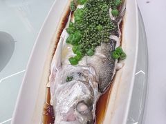 青椒白水鱼-吉士·星座 JISHI CONSTELLATION(新天地店)