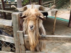 -北京鹿世界主题园