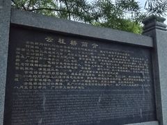 -晓港公园