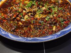 -新概念来凤鱼(璧山店)