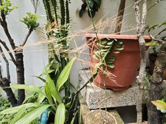 -茶米人台湾料理·精致快简餐