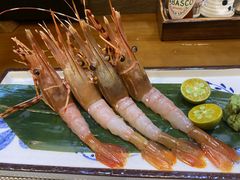 -代代木日式烧鸟居酒屋(奥城天玺店)