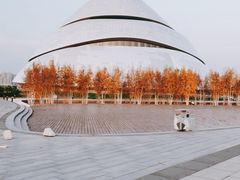 -哈尔滨大剧院