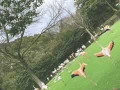 -上海野生动物园