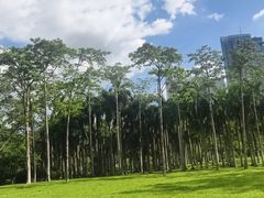 -莲花山公园