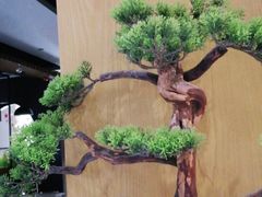 -如轩·海鲜砂锅粥·潮汕菜(南城店)