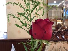 -新侨三宝乐西餐厅(崇文门店)
