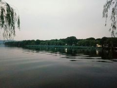 -西湖外事游船(花港观鱼码头)