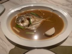 鲳鱼烧年糕-新荣记(新源南路店)