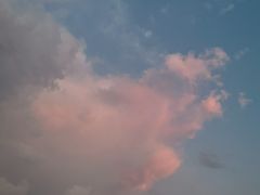 -Blueglass酸奶(财富购物中心店)