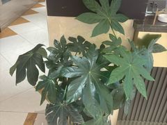 -宏运厨房·海鲜青岛菜·生日宴(城市阳台店)