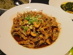 -桂满陇·海市蜃楼·黑金(国金店)