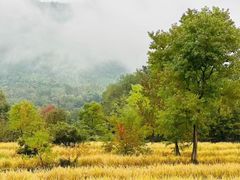 -塔川景区