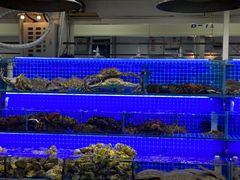 -三旗百汇商品城