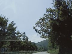 -武陵山森林公园