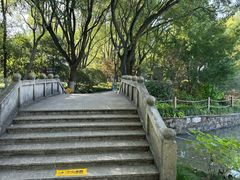 -瀛洲公园