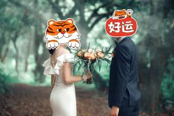 -花漾摄影优选工作室(东莞原创作品店)