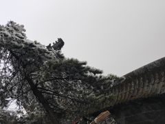 -武当山风景区